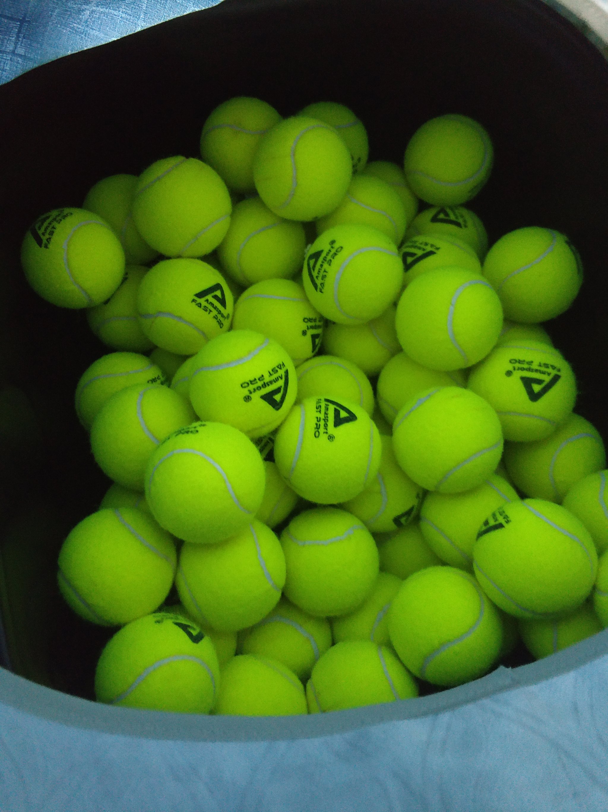 键词优化清 键词优化清